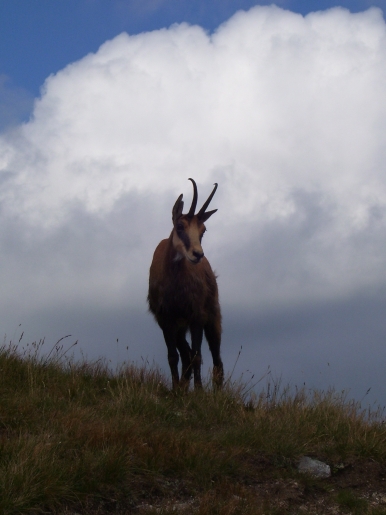 Tatry3.jpg