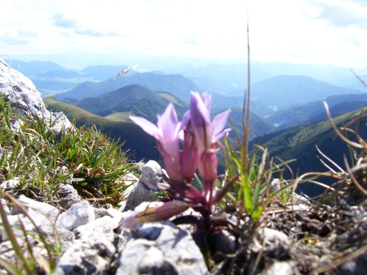 Tatry8.jpg