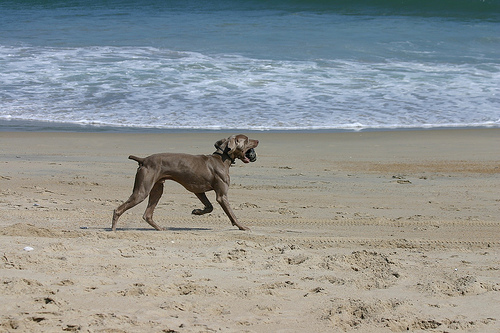 at the beach.jpg